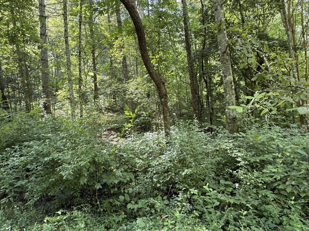 Lot 22 Larue Lane