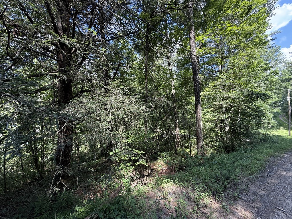 Lot 22 Larue Lane