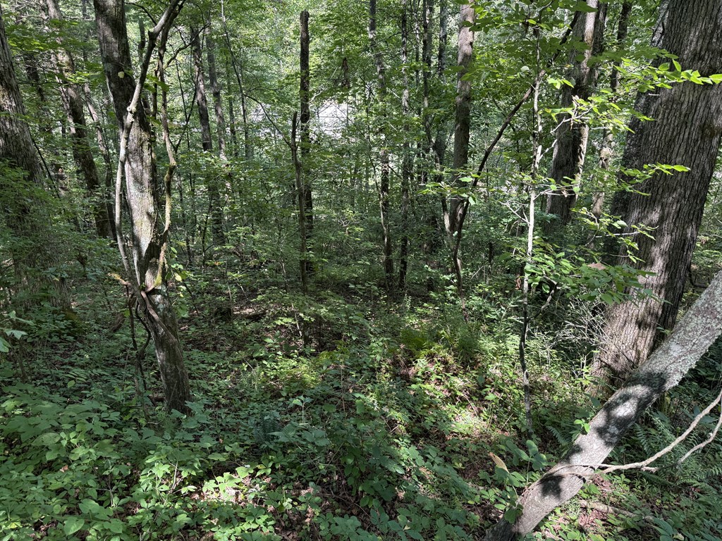 Lot 22 Larue Lane