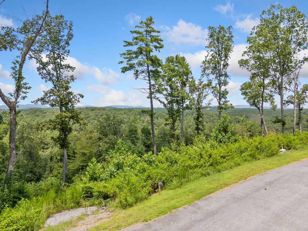 105 River Knoll Trail