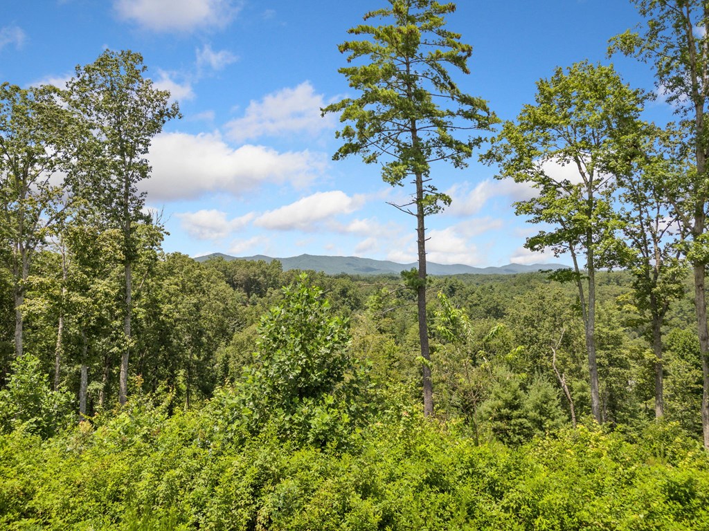 105 River Knoll Trail