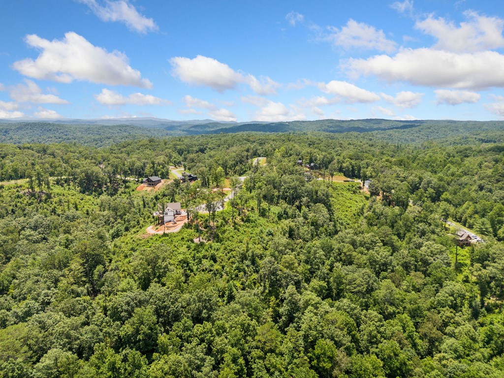 105 River Knoll Trail
