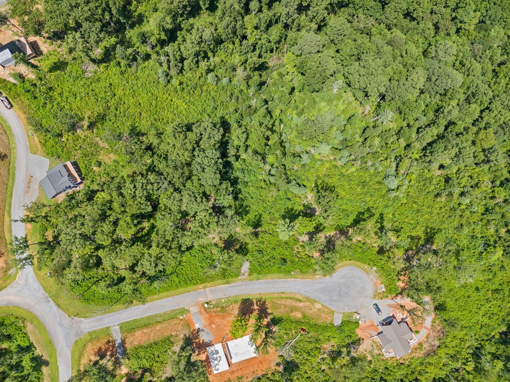 105 River Knoll Trail