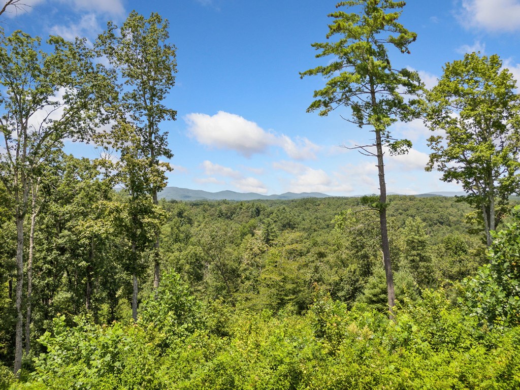 105 River Knoll Trail