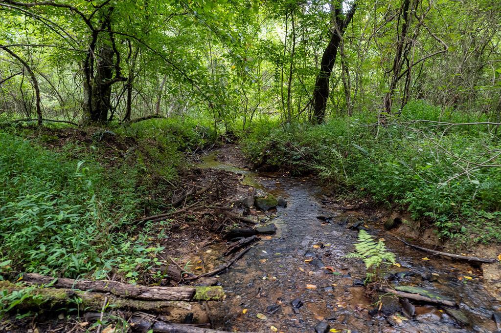 13.59 AC Ridgeway Church Road