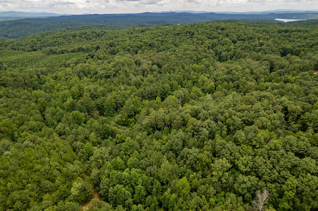 13.59 AC Ridgeway Church Road