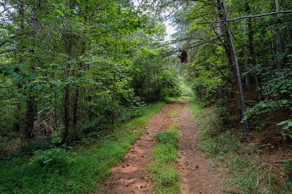 13.59 AC Ridgeway Church Road