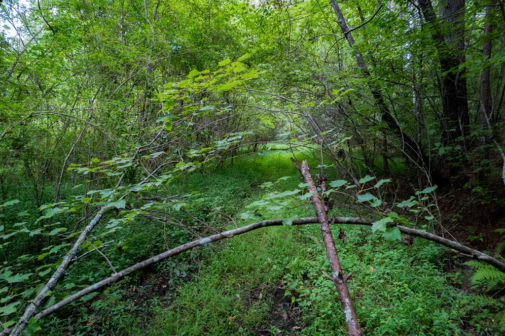 13.59 AC Ridgeway Church Road