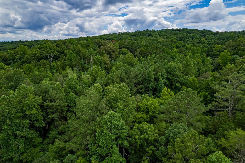 13.59 AC Ridgeway Church Road