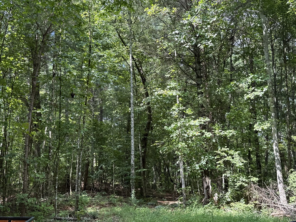 Lot 17 Larue Lane