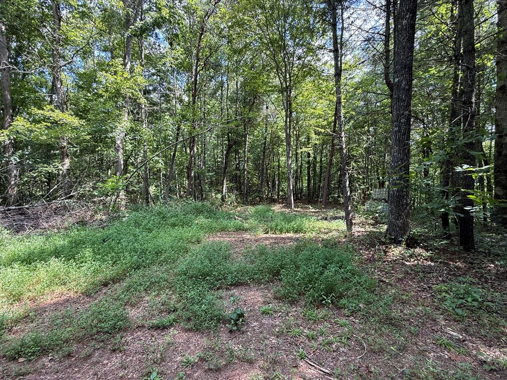 Lot 17 Larue Lane