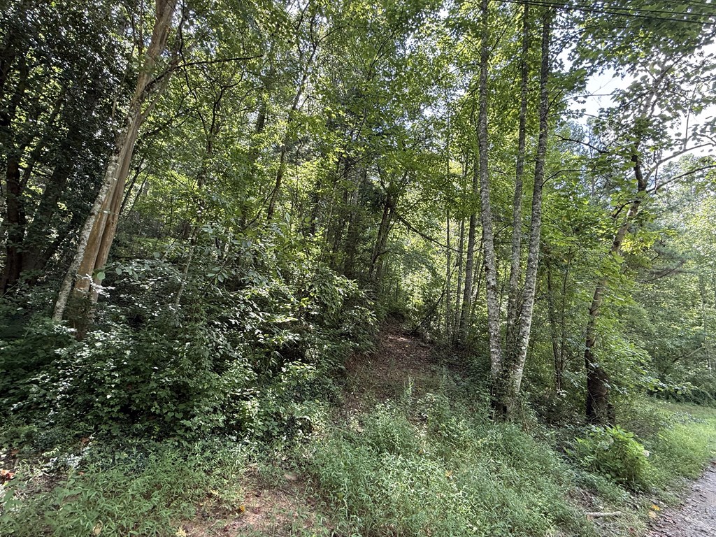 Lot 17 Larue Lane