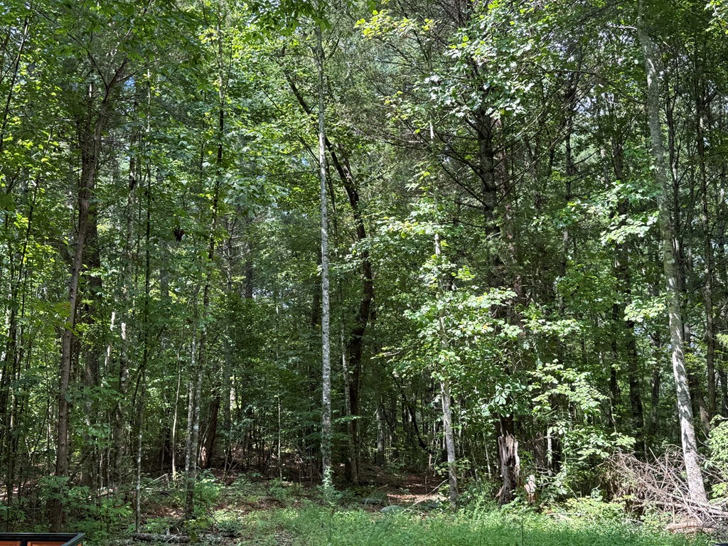 Lot 17 Larue Lane