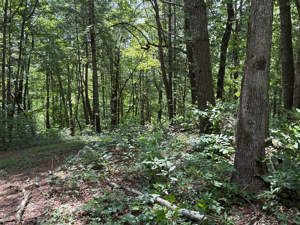 Lot 17 Larue Lane