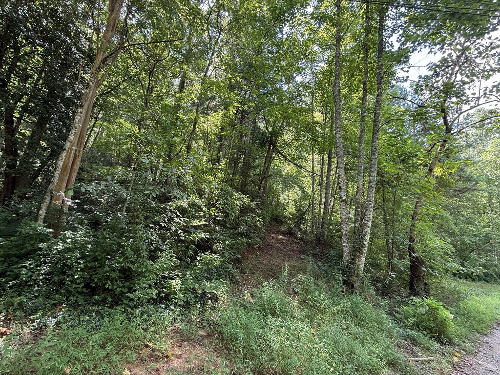 Lot 17 Larue Lane