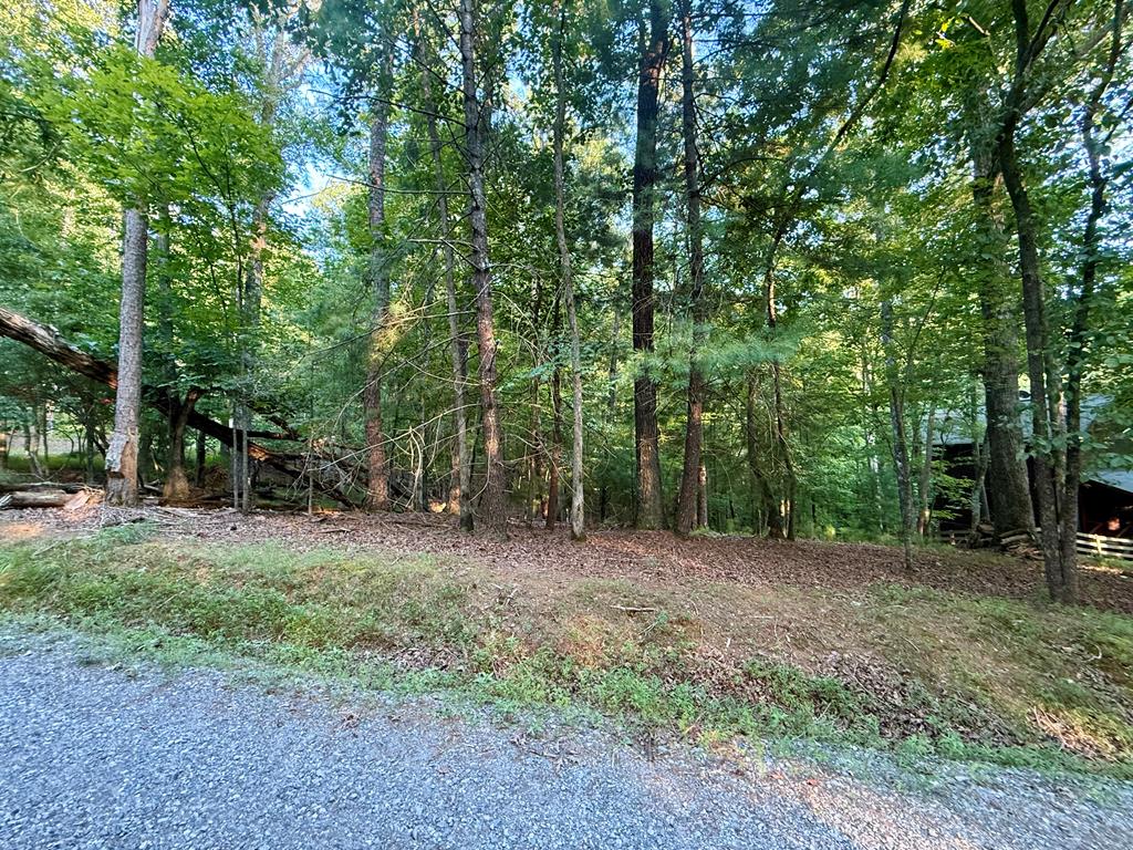 Lot 528 Pinecrest Court