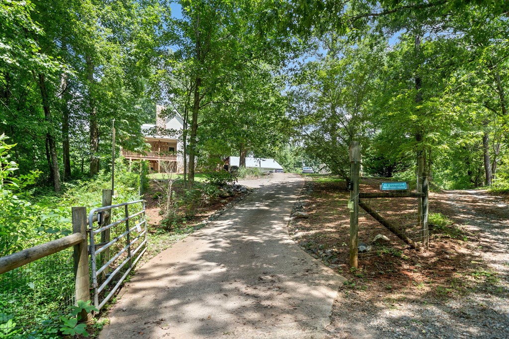 564 Scrougetown Road