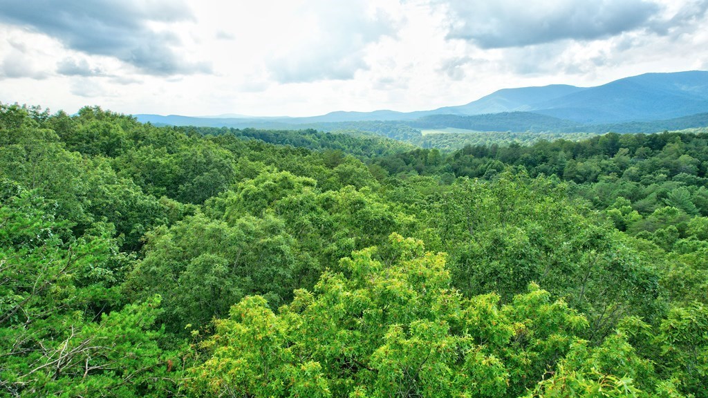 28.82 Mt Mcgruder Rd- 48.26 Acres