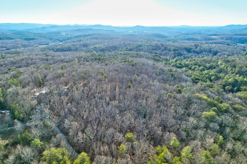 19.44 Mt Mcgruder Rd- 48.26 Acres