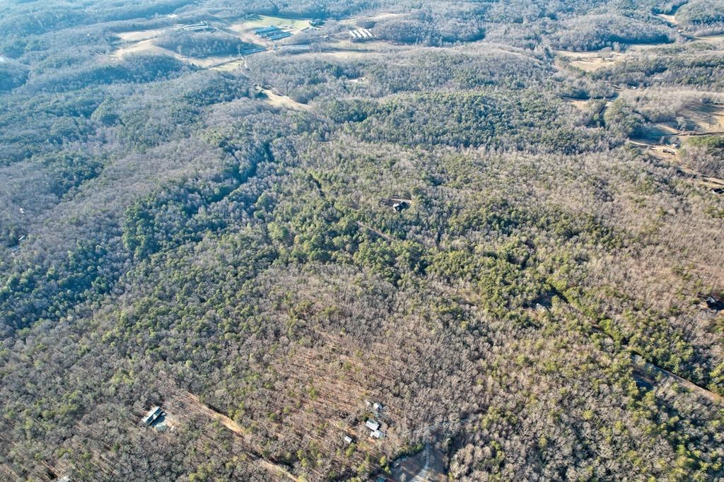 19.44 Mt Mcgruder Rd- 48.26 Acres