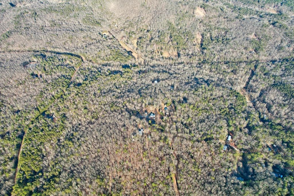 19.44 Mt Mcgruder Rd- 48.26 Acres