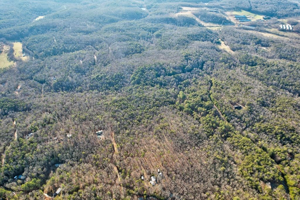 19.44 Mt Mcgruder Rd- 48.26 Acres