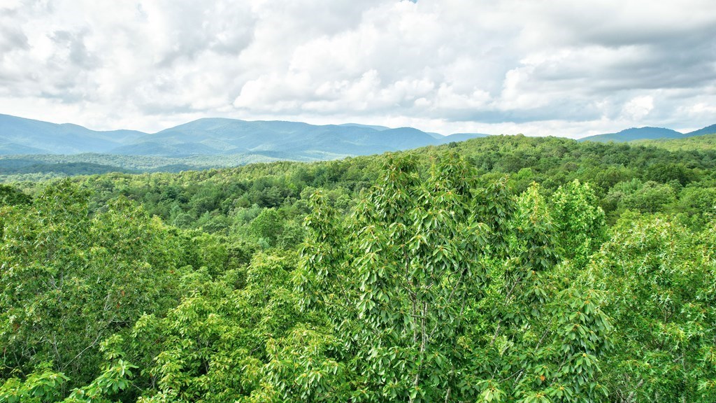 19.44 Mt Mcgruder Rd- 48.26 Acres