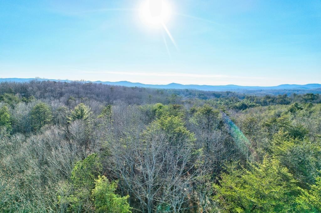 19.44 Mt Mcgruder Rd- 48.26 Acres