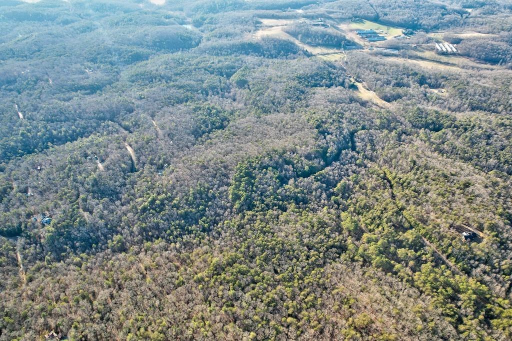 19.44 Mt Mcgruder Rd- 48.26 Acres