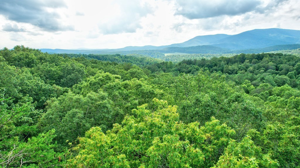 19.44 Mt Mcgruder Rd- 48.26 Acres