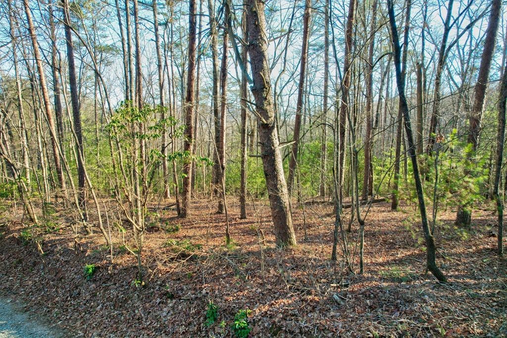 19.44 Mt Mcgruder Rd- 48.26 Acres