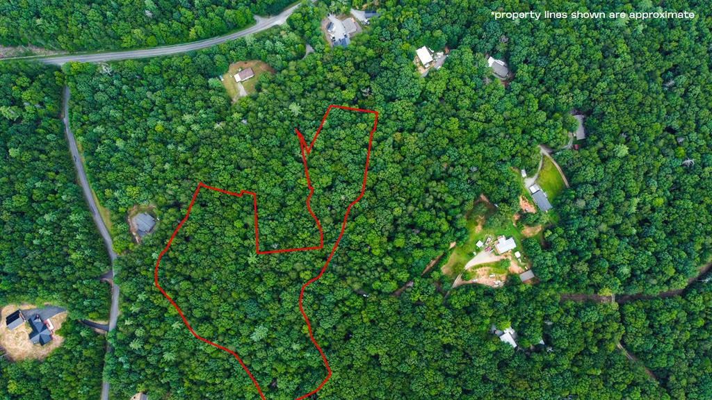19.44 Mt Mcgruder Rd- 48.26 Acres