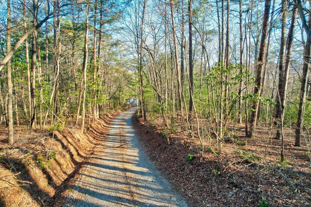 19.44 Mt Mcgruder Rd- 48.26 Acres