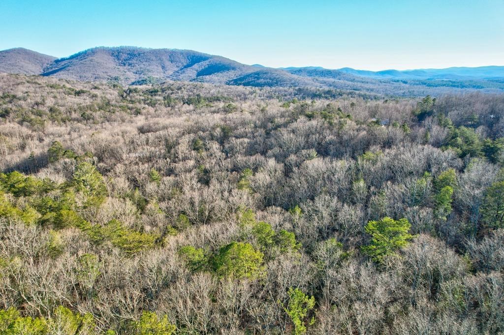 19.44 Mt Mcgruder Rd- 48.26 Acres