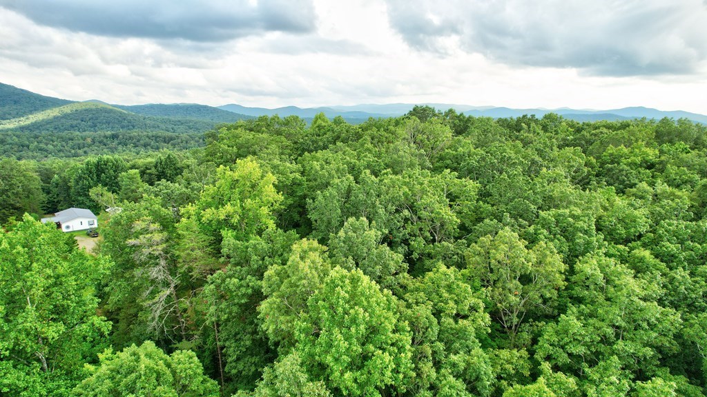 19.44 Mt Mcgruder Rd- 48.26 Acres