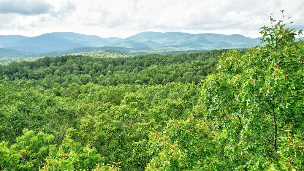 19.44 Mt Mcgruder Rd- 48.26 Acres