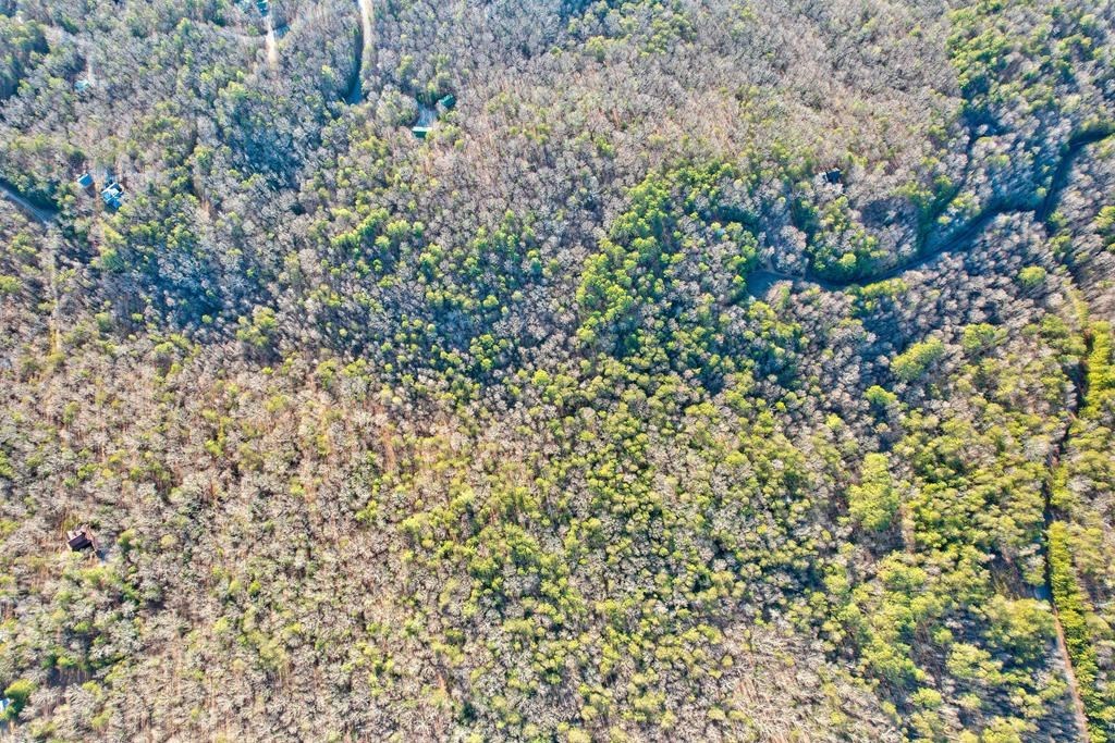 19.44 Mt Mcgruder Rd- 48.26 Acres