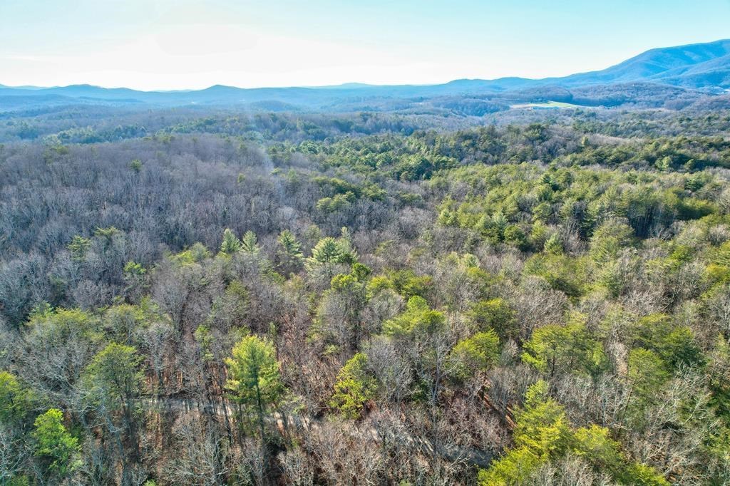 19.44 Mt Mcgruder Rd- 48.26 Acres