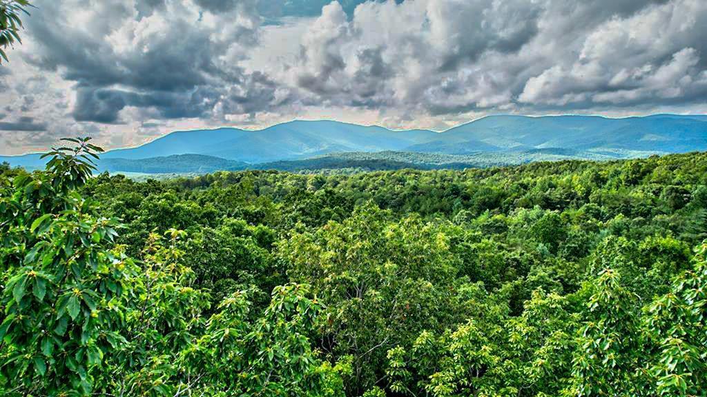 19.44 Mt Mcgruder Rd- 48.26 Acres