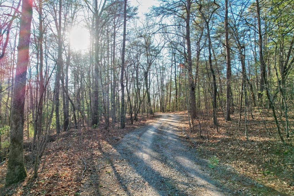 19.44 Mt Mcgruder Rd- 48.26 Acres