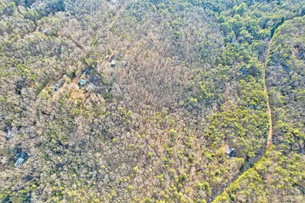 19.44 Mt Mcgruder Rd- 48.26 Acres
