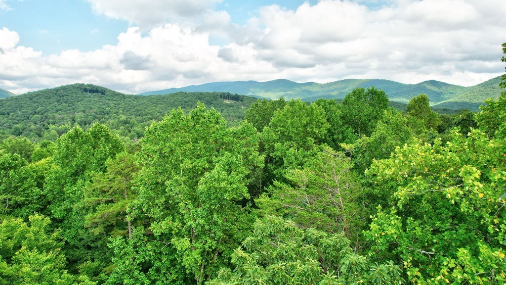 19.44 Mt Mcgruder Rd- 48.26 Acres