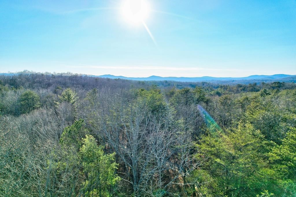 19.44 Mt Mcgruder Rd- 48.26 Acres