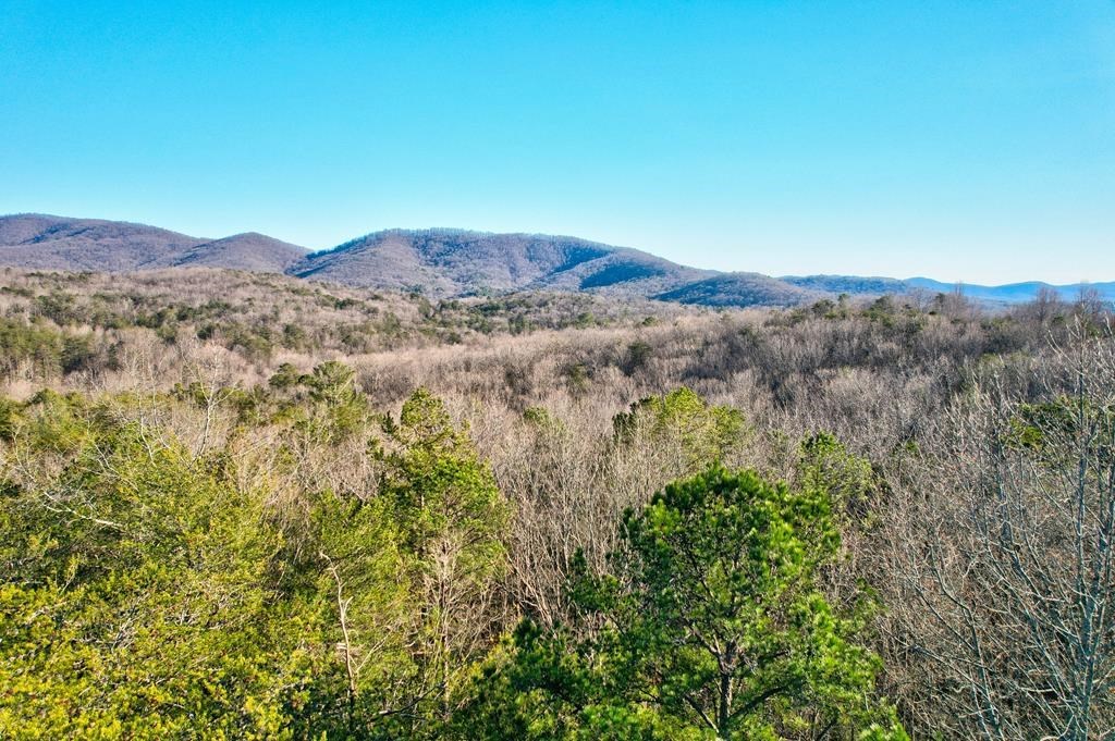 19.44 Mt Mcgruder Rd- 48.26 Acres