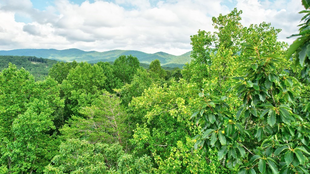 19.44 Mt Mcgruder Rd- 48.26 Acres