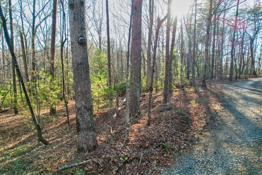19.44 Mt Mcgruder Rd- 48.26 Acres