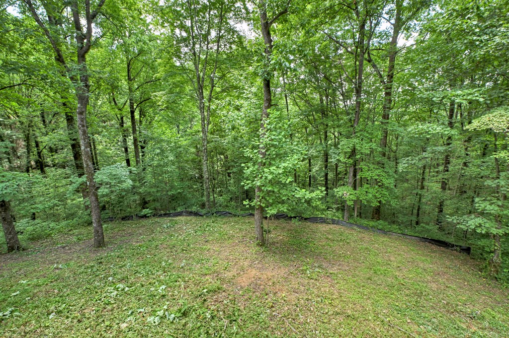 1554 Piney Spur Road S
