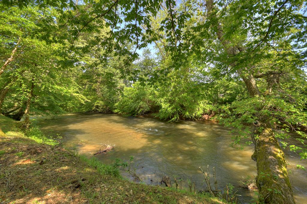 Lot 10 Cartecay River Run