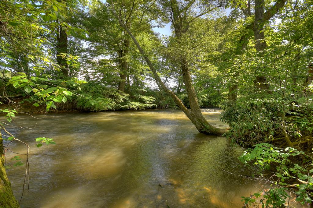 Lot 10 Cartecay River Run