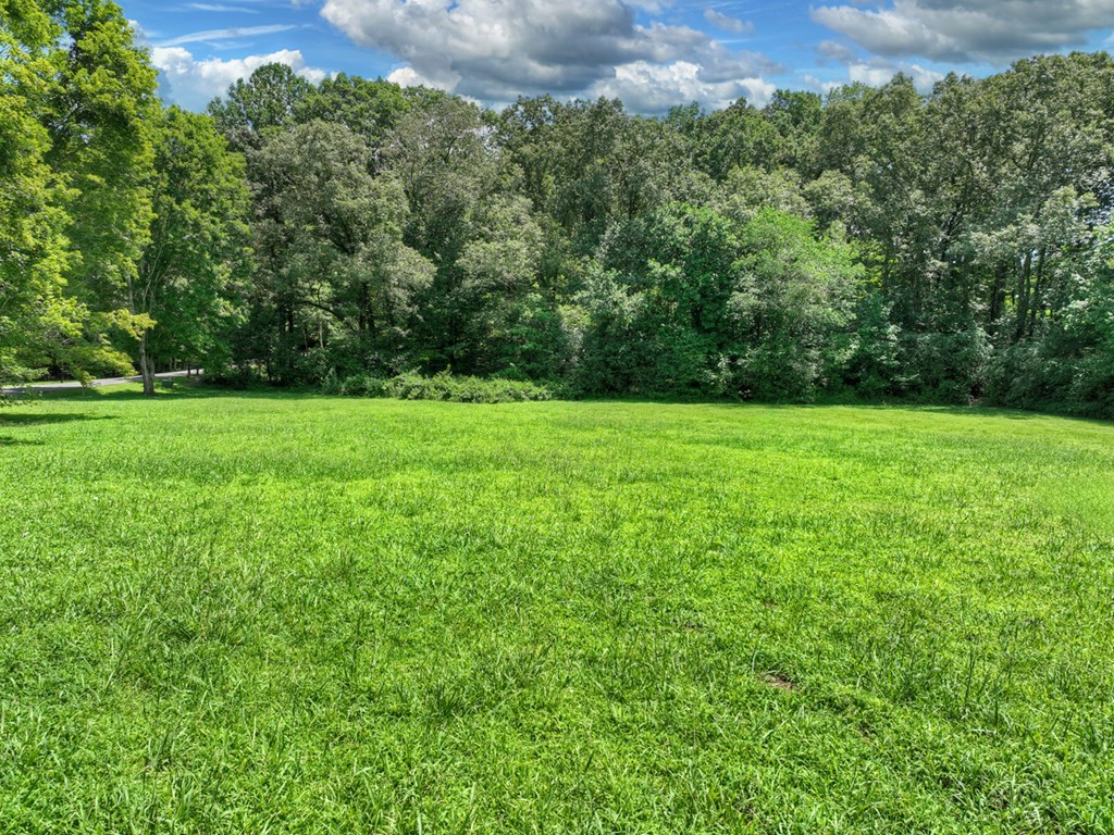 Lot 10 Cartecay River Run